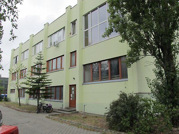 Szent István, Kecskemét képe