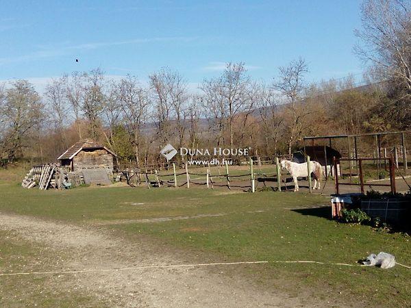 Alkotmány, Tatabánya 3. képe