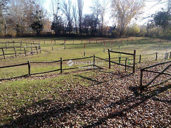 Alkotmány, Tatabánya képe