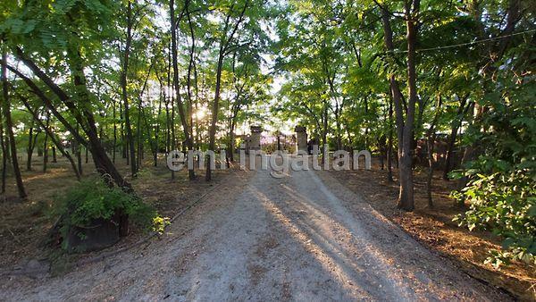 Délegyháza 2. képe