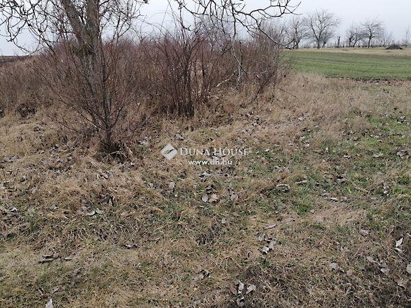 József Attila, Bicske képe