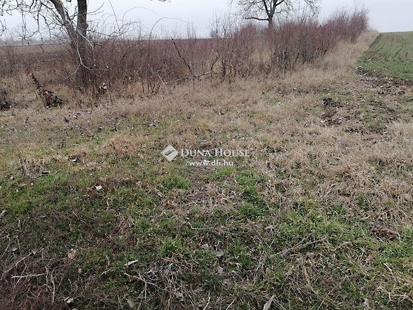 József Attila, Bicske 2. képe