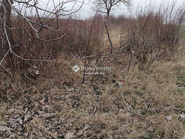 József Attila, Bicske 3. képe