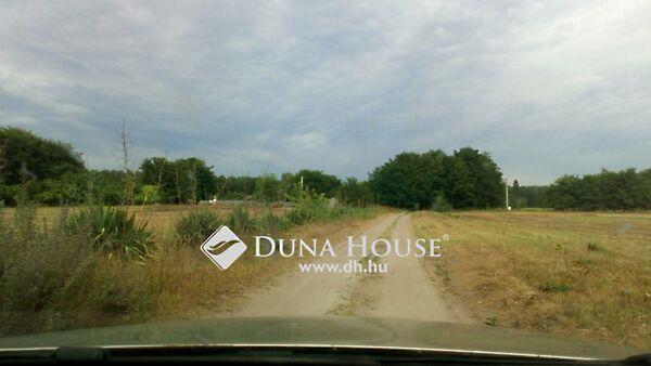 Váci Mihály, Enying képe