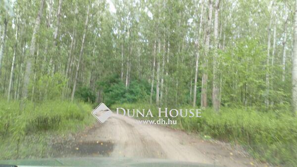 Váci Mihály, Enying 2. képe