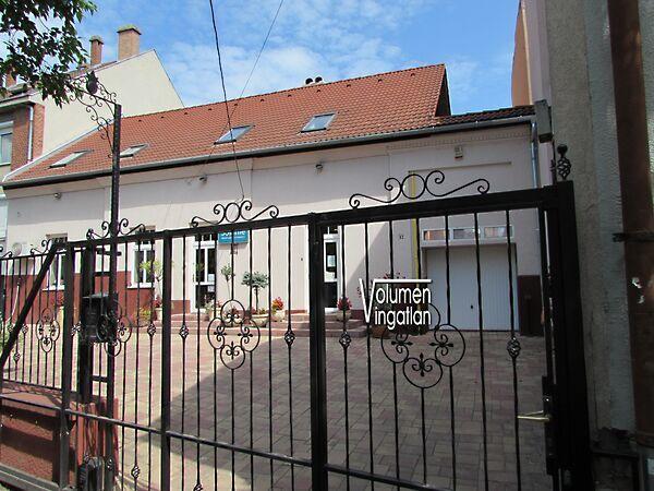 Zrínyi Miklós, Vác képe