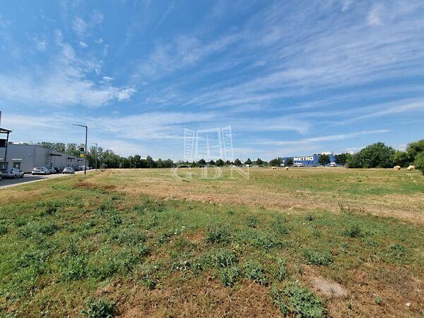 Szent Flórián, Székesfehérvár képe