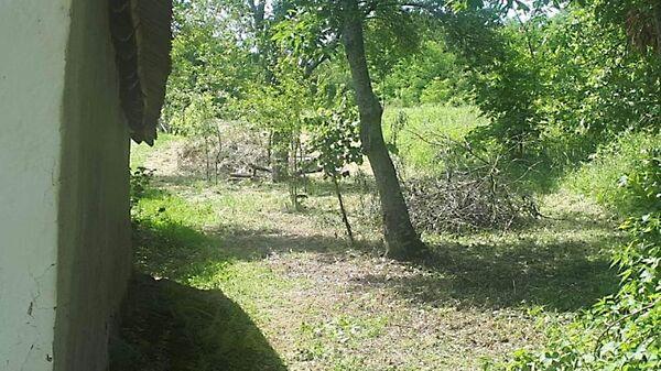 Petőmihályfa 3. képe