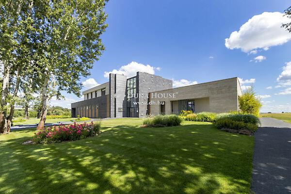 Kehidakustány 2. képe