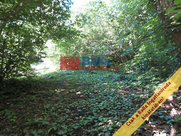 Vízközeli, Balatonvilágos 2. képe