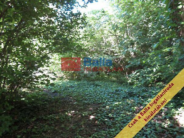 Vízközeli, Balatonvilágos 3. képe