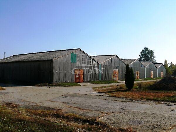 Nyugati, Kecskemét 2. képe