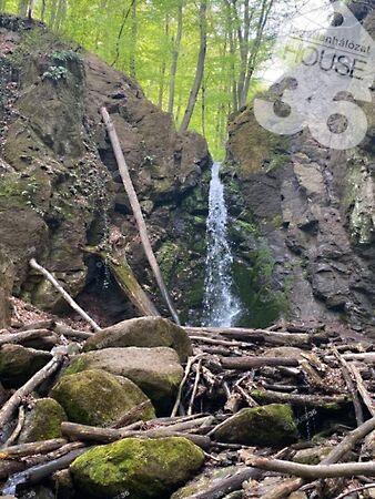 Aranykor, Kecskemét képe