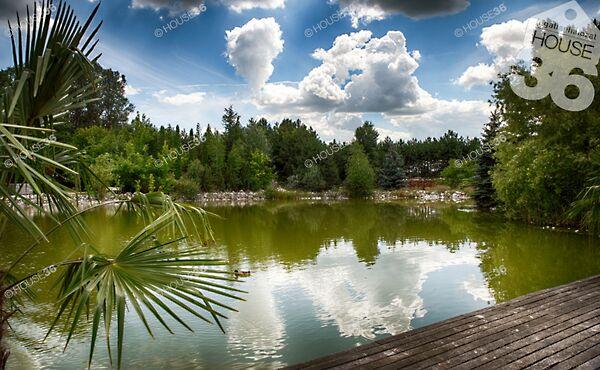 Aranykor, Kecskemét 3. képe