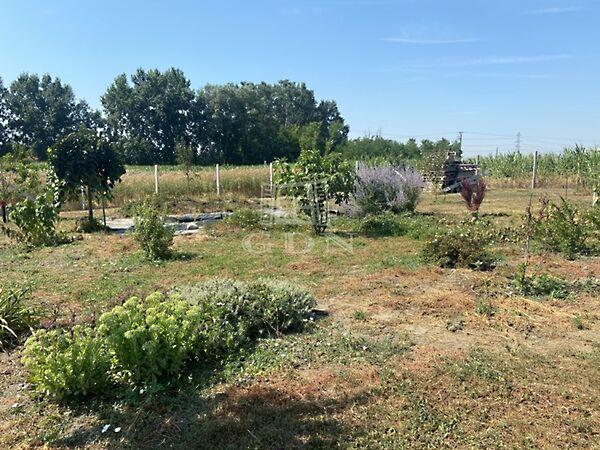 Dunapart, Szigetcsép 3. képe