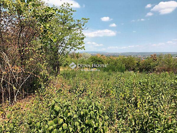 Névtelen, Érd képe