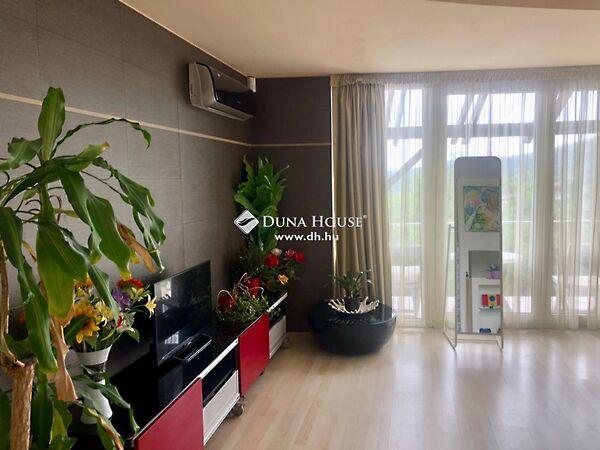 Bercsényi, Budapest, II. kerület 3. képe