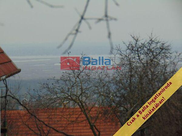 Nefelejcs, Pákozd képe