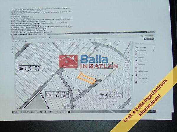 Nefelejcs, Pákozd 2. képe