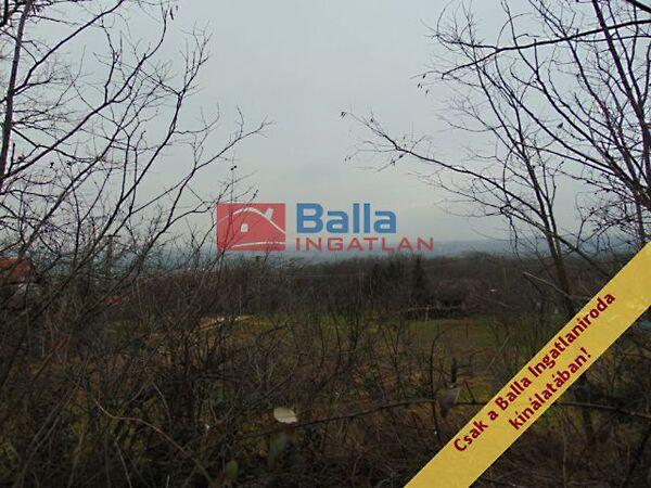 Nefelejcs, Pákozd 3. képe