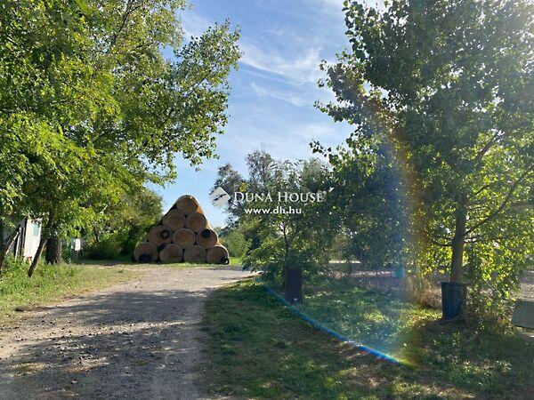 Borbás, Kecskemét képe