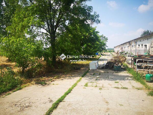 Borbás, Kecskemét 2. képe