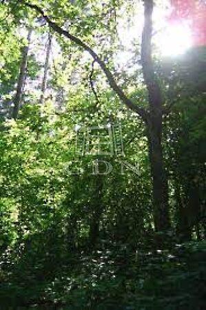 Babosdöbréte, Babosdöbréte 2. képe