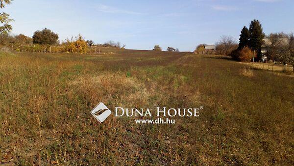 Váci Mihály, Enying képe