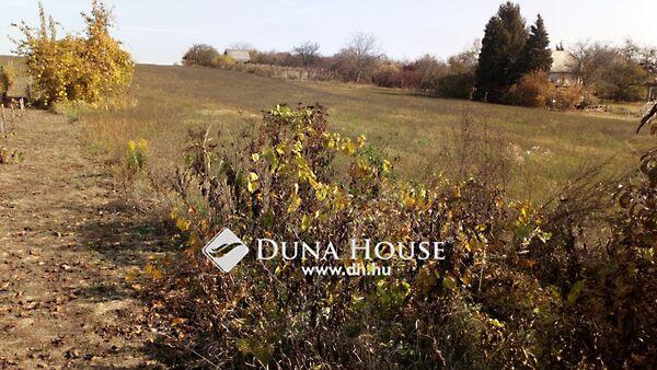 Váci Mihály, Enying 2. képe