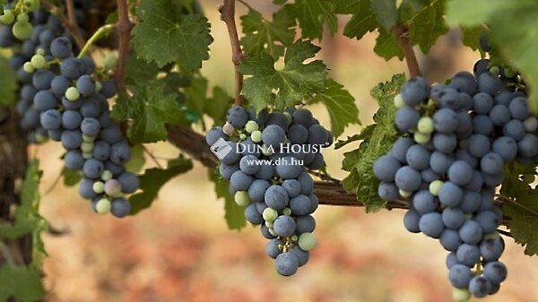 Vajda János, Vál 2. képe