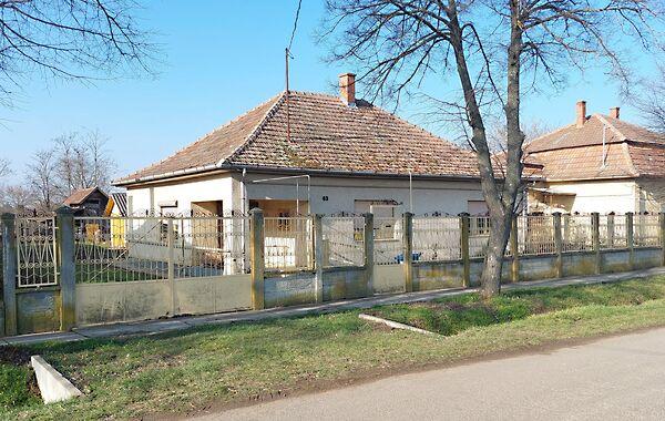 Petőfi, Kamut képe