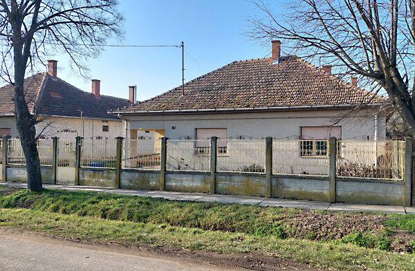 Petőfi, Kamut 2. képe