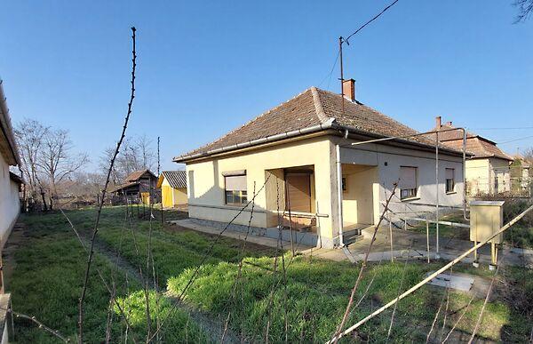 Petőfi, Kamut 3. képe