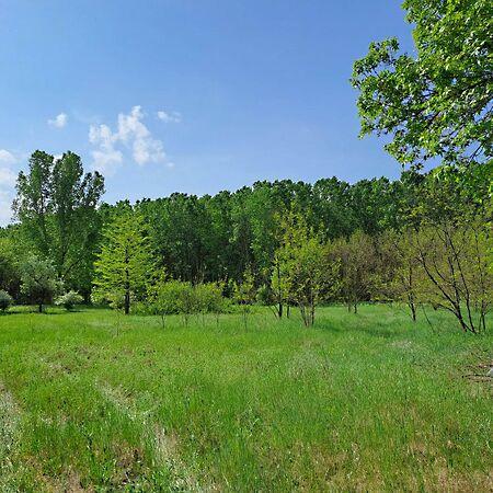 Judit Ingatlan és, Monor képe