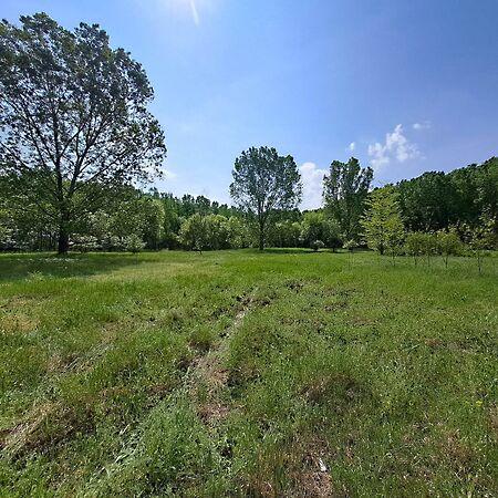 Judit Ingatlan és, Monor 2. képe