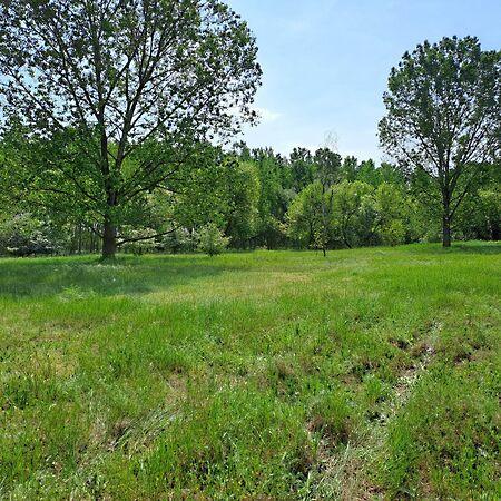 Judit Ingatlan és, Monor 3. képe