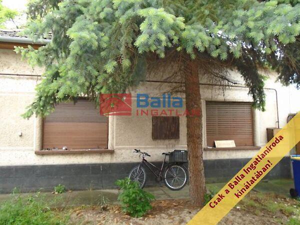 Kolozsvári, Tiszakécske képe