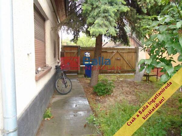 Kolozsvári, Tiszakécske 2. képe