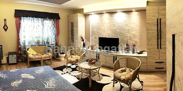 Hunyadi János, Pápa képe