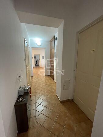 Gogol, Szeged 3. képe