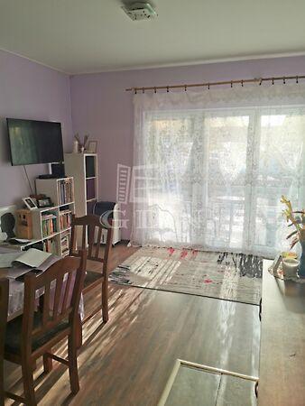 Fürj, Szigethalom 3. képe