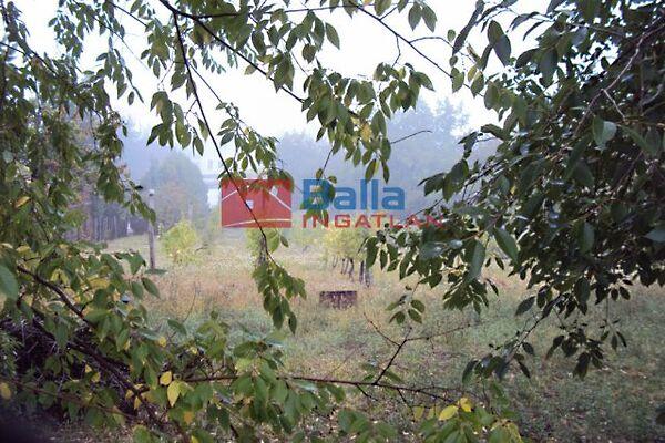 Lőcsei, Székesfehérvár képe