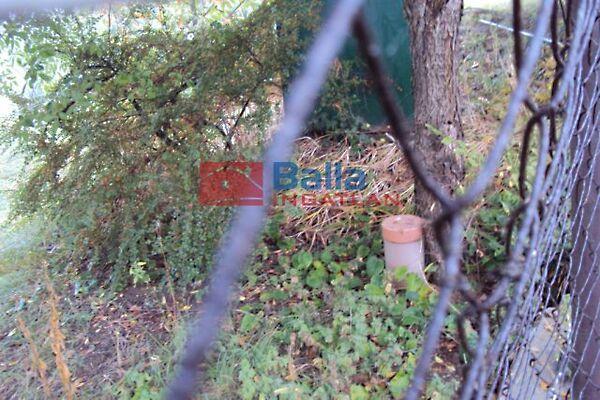 Lőcsei, Székesfehérvár 3. képe