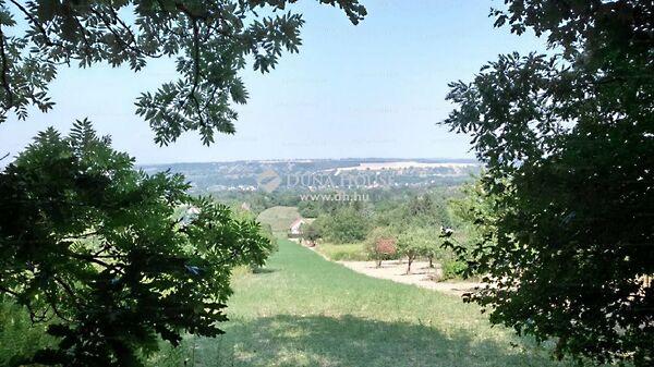 Virág, Alcsútdoboz képe