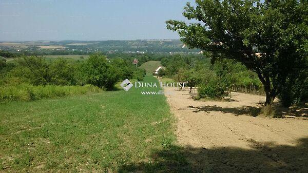 Virág, Alcsútdoboz 3. képe