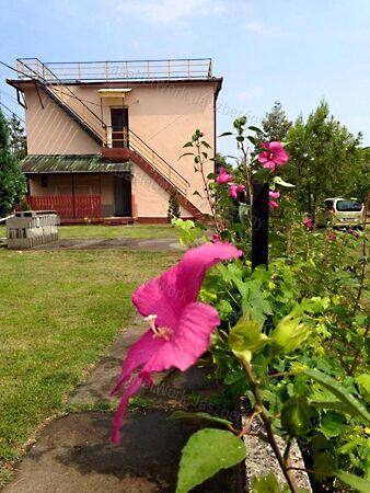 Jászszentandrás 2. képe