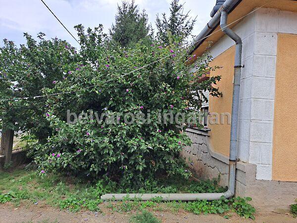 Nyírparasznya 2. képe