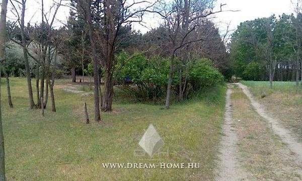 Ágasegyháza, Ágasegyháza képe