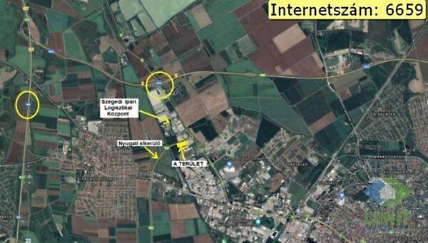 Wimmer Fülöp, Szeged képe