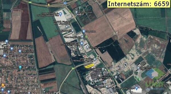 Wimmer Fülöp, Szeged 2. képe